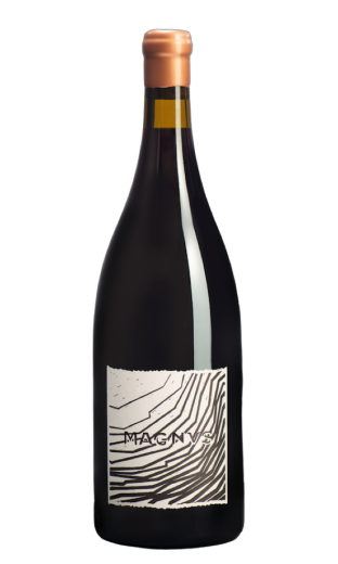 Pinot Noir Magnus 2016 - WEINGUT MÖHR-NIGGLI (magnum, 1.5 L)