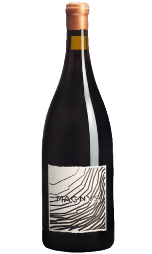 Pinot Noir Magnus 2017 - WEINGUT MÖHR-NIGGLI (magnum, 1.5 L)